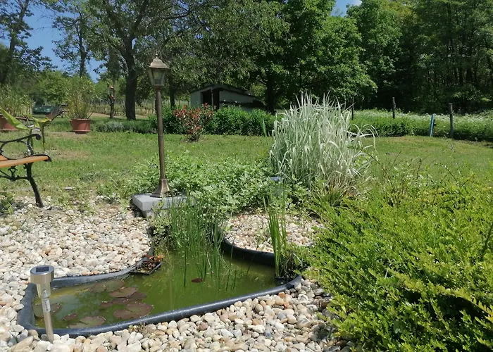Naturkert Vendeghaz Lejlighed