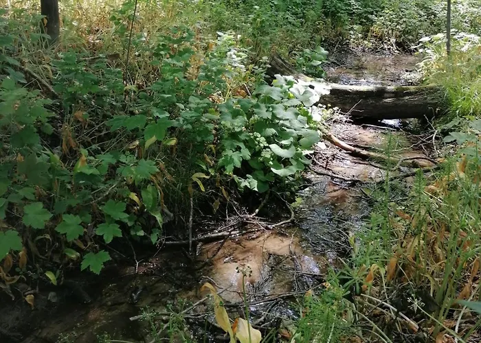 Lejlighed Naturkert Vendeghaz *